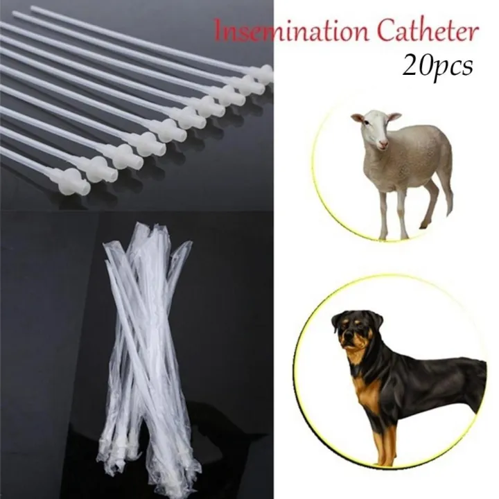 YEKPND Semen Disposable Canine Clinic tools Sperm Dog Deferens Catheter
