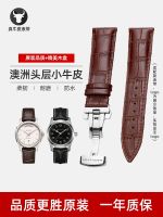 เหมาะสำหรับสายนาฬิกา Hamilton Hamilton ทดแทน Devil Fish Jazz Master Leather Original Men 22mm