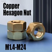 ☜☢ 1-20PCS Copper Hexagon Nut M1.4 M1.6 M2 M2.5 M3 M4 M5 M6 M8 M10 M12 M14 M16 M18 M20 M22 M24 Brass Hex Nut Fastener