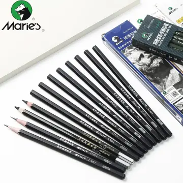 Marie's 12 Pcs Sketching Drawing Pencils with Box Set for Artists