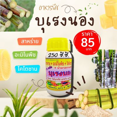 พร้อมส่ง💯 บุเรงนอง ขนาด 250 ซีซี. อะมิโนพืช+สาหร่าย+ไคโตซาน+น้ำตาลทางด่วน อาหารพืช ใช้ฉีดพ่นทางใบ ฉีดพ่น อ้อย