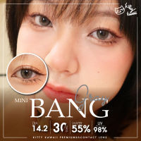 คอนแทคเลนส์ คิตตี้ คาวาอิ mini bang gray