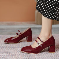 Lady Elegent Square Toe Shoes Female New Thick Heels High Heels Grandma Shoes Mid-Heel Loafers Retro Mary Jane Womens Shoes sh8