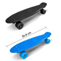 สเก็ตบอร์ด 22 นิ้ว เพนนีบอร์ดสไตล์เรโทร สเก็ตบอร์ดทรงปลา แฟชั่นสเก็ตบอร์ด Skateboard Penny board