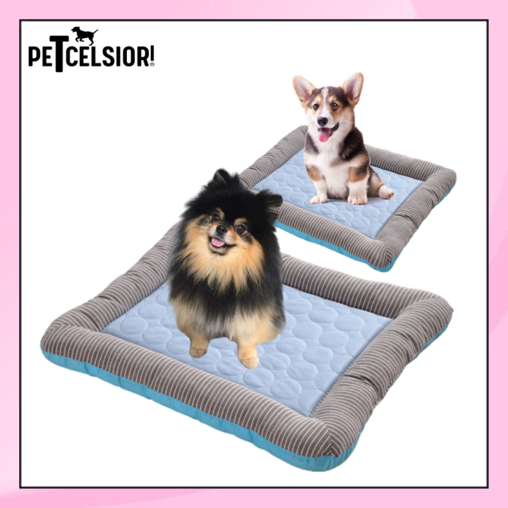 Dog 2024 bed lazada