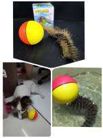 ของเล่นลูกบอลไฟฟ้าสําหรับสัตว์เลี้ยง รุ่น Beavers Ball เล่นได้ทั้งในน้ำและบนพื้น กลิ้งไปมาเหมือนตัวบีเวอร์