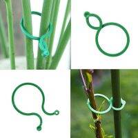 【YF】◘✶  10/20/50/100 Pcs Vine Strapping Growing Holder Plastic Bundled Garden Support