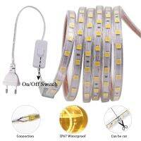 SMD 5050 LED Strip 220V EU Power Plug with Switch Outdoor Waterproof Ribbon 60LEDs/m Flexible LED Light Lamp For Home Decoration