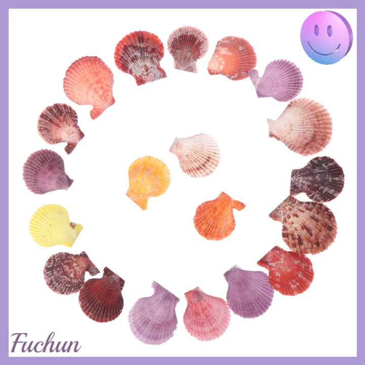 fuchun-เครื่องประดับตกแต่งเปลือกหอยธรรมชาติสีสันสดใสจำนวน20ชิ้น-ของประดับตกแต่งงานฝีมือต่างหูรูปหอยเชลล์