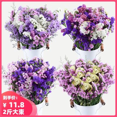 Myos Sylvatica Dried Flowers Bouquet Starry Sky Home Furnishings Decoration Nordic Fresh Living Room Decoration Flowers Sold by Half Kilogram for Sale