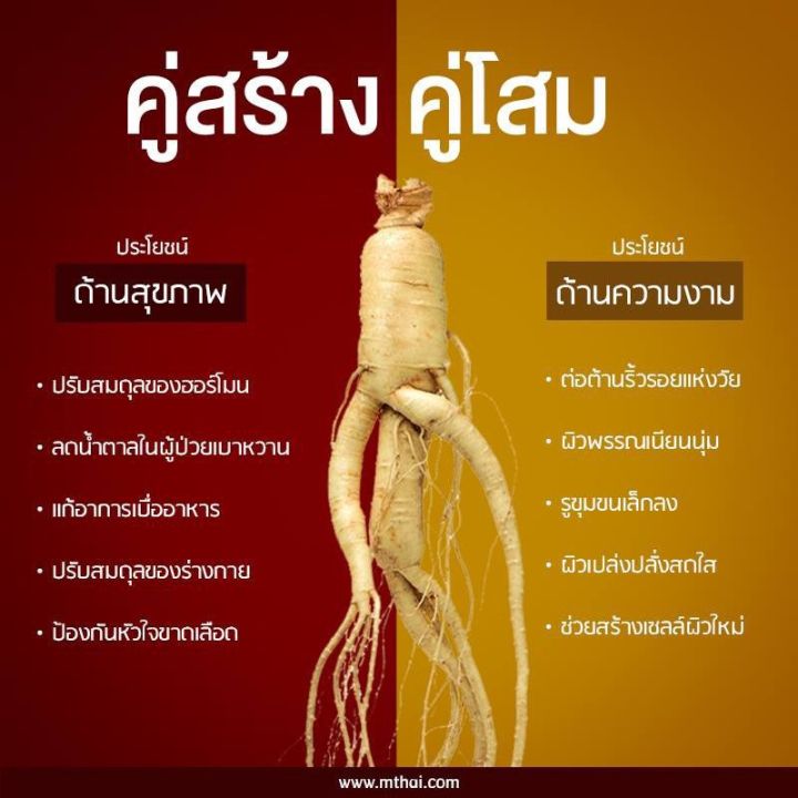 โสมเกาหลีตังกุยจับ-ตังกุยจั้บ-korean-ginseng-tang-gui-jub-500-cc