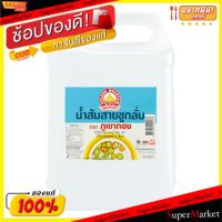 ?สินค้าขายดี? [1 ชุด 1 รายการ]โปรสุดพิเศษ!!! ภูเขาทอง น้ำส้มสายชูกลั่น5% ขนาด 5000ซีซี 5L GOLDEN MOUNTAIN VINEGAR วัตถุดิบ, เครื่องปรุงรส, ผงปรุงรส