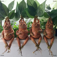 Kada Mandrake หญ้าเรซิ่นรูปปั้นภูมิทัศน์เครื่องประดับศิลปะ Figurine งานฝีมือสำหรับสวน