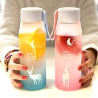 500 ML Plastic Water Bottles for Drinking Portable Sport Fitness Jugs Gradient Color Plastic Cups Outdoor Frosted Mug Cartoon