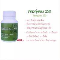 #ส่งฟรี #เจียวกู่หลาน  #กิฟฟาริน  สารสกัดจากเจียวกู่หลาน 60 แคปซูล 420.-