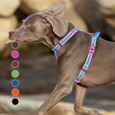 Truelove Soft Padded Dog Harness Easy On And Off Nylon Adjustable Car Pet Harness Belt Reflective For Outdoor Training Walking Collars
