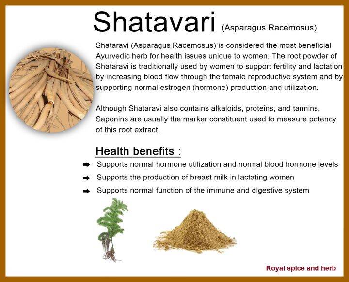 shatavari-powder-500-grams-pure-premium-quality