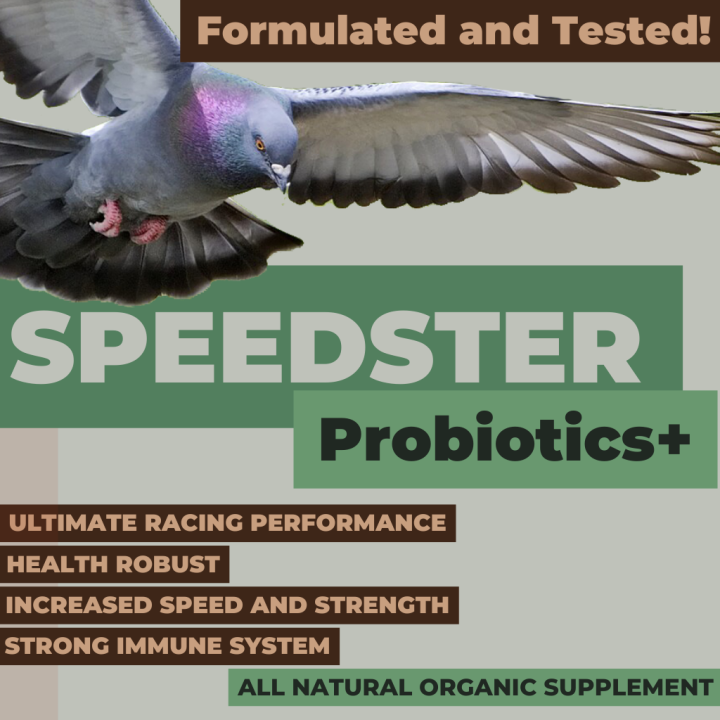 Speedster Bird Probiotics+ Pigeon,Chicken,Quail,Bird Health
