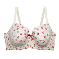 MiaoErSiDai Sexy Womans Floral Print Bra Push Up Lace Soutien Gorge Bra Plus Size Underwear For Female C D DD DDD E F G 30-46