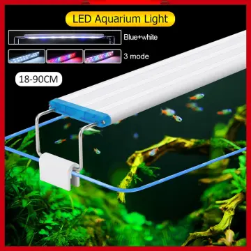 Buy Black Light For Glowfish Online | Lazada.Com.Ph