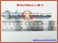 พุกเว็ดจ์ M12x120 mm แพ็คกล่อง 30 ตัว