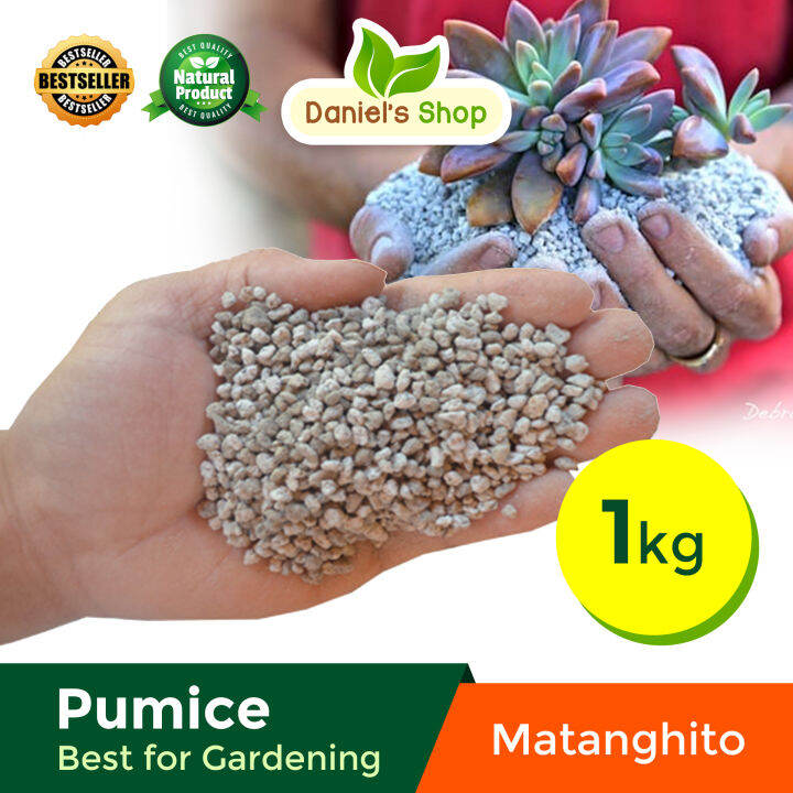🍀😍 Pumice Stone (MatangHito)1 KG / packed . Pumice Stone for Plants