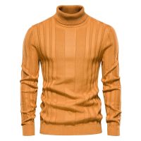 Men Turtlenecks Sweaters Knitwear Pullovers Solid Color Long Sleeved Striped Sweater Male Casual Daily Multicolor Sweaters S-XXL