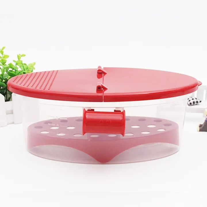 Microwave Pasta Noodle Box Lazada PH