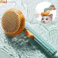 Pumpkin Self Cleaning Slicker Comb for Dog Cat Puppy Rabbit Grooming Brush Tool Gently Removes Loose Undercoat Tangled Hair