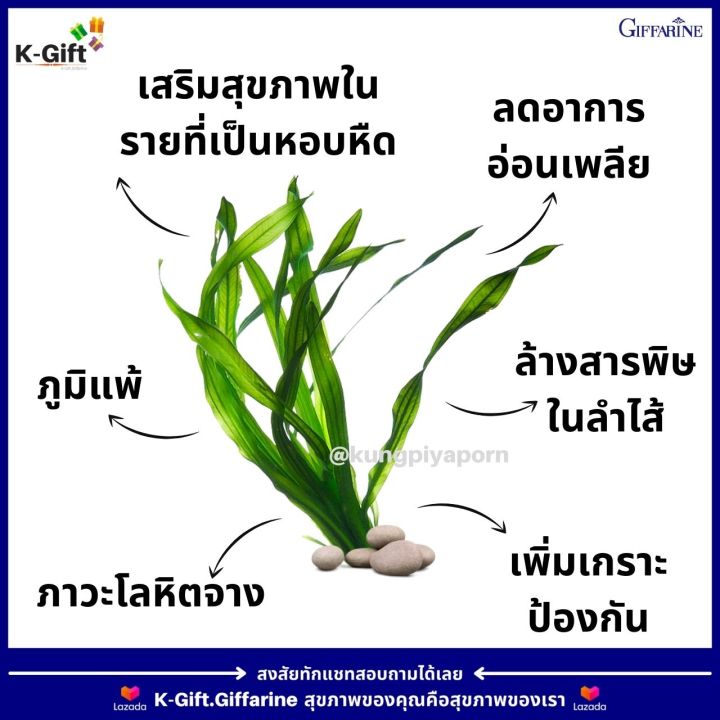 ส่งฟรี-สาหร่ายสไปรู-สไปริน่า-กิฟฟารีน-สาหร่ายเกลียวทอง-spiriluna-โปรตีนจากสาหร่าย-โปรตีนพืช-โปรตีนเม็ด-protein-กิฟฟารีน-สาหร่ายทะเล-spirina-giffarine