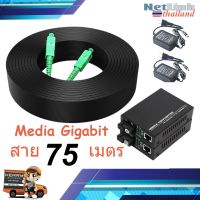 75 เมตร + Gigabit Media Converter 10/100/1000 Mbps (สายมีลวดสลิงแบบ outdoor)