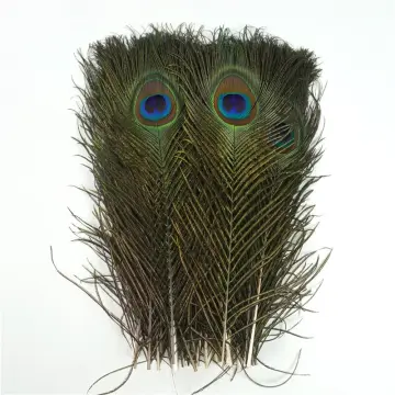 50Pcs Wholesale Natural Real Peacock Feathers for Decoration