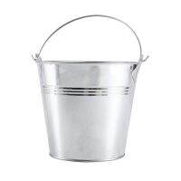 12 Pieces Meaty Small Iron Bucket Toy Iron Bucket Flower Pot with Handle, Succulent Flower Shop