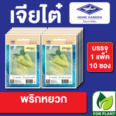 ผักซอง เจียไต๋ CT15 เมล็ดพันธุ์ พันธุ์ผัก พริกหยวก บรรจุแพ็คล่ะ 10 ซอง ราคา 70 บาท