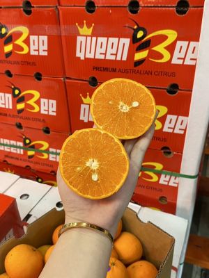 ส้ม ส้มแมนดาริน ออสเตรเลีย (ตราผึ้ง กล่องแดง) AUS #40,42 ลูก/ลัง นำเข้าจากออสเตรเลีย (น้ำหนักชั่งรวมลังประมาณ 9 กิโลกรัม)