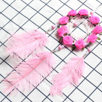 【cw】 New Pink Fairy Style Dreamcatcher Wind Chimes Room Decorative Pink Ostrich Feather Ornaments Girlfriends Birthday Gift ！