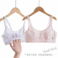 【Ready Stock】 ▩◄∋ C22 [Ready] Girls Underwear Breathable Mesh Cotton Thin Style Developmental Bra Childrens Vest Tube Top Sling