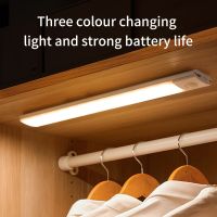 ♘❄✲ Led Ultra Thin Night Light Motion Sensor Wireless Led Night Light 20/30/40/60cm - Night Lights - Aliexpress