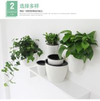 [COD] storage lazy flowerpot imitation ceramic hanging green dill potted office wall plant living room decorations