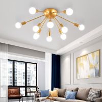 Nordic Ceiling Lamp New Style Kid Living Room Bedroom Lighting Luxury Foyer Flower E27 Simple Home Wrought Iron Paint Deco Light