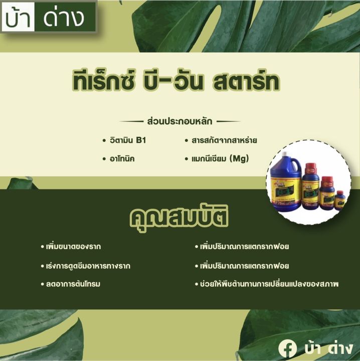 น้ำยาเร่งราก-b1-และ-กรดอะมิโน-multi-extra-b1-and-amino-acid