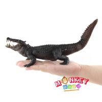 Monkey Toys - โมเดลสัตว์ Crocodile จระเข้ เทา ขนาด 27.00 CM (จากหาดใหญ่)