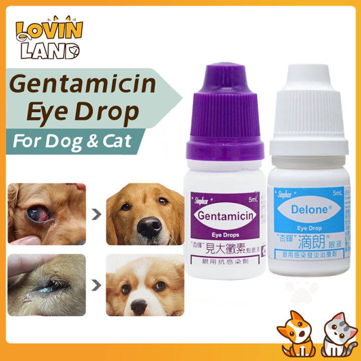 Pet Eye Drops 5ml Gentamicin Eye Drops for Pet Cat Dogs Eye Infection