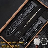 Mitston Watch Strap Genuine Leather for Men Longines Master Tissot Mido Watch Band Female Crocodile Leather Le Locle EBOHR