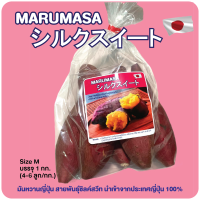 มันหวานญี่ปุ่นสายพันธุ์ซิลค์สวีท MARUMASA Size M 1 กก. (นำเข้าจากญี่ปุ่น 100%)