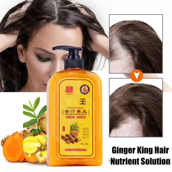 Authentic Ginger shampoo Prevent hair loss Germination Additional issuance  Promote Thick Hair growth Solid hair Anti-