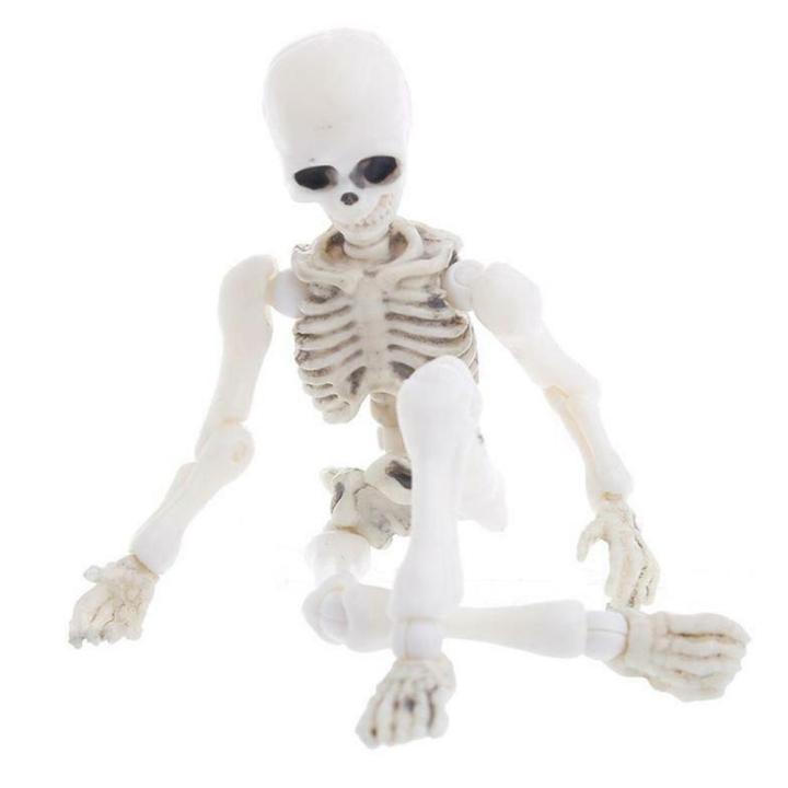skull-ornaments-skeleton-man-skeleton-model-movable-doll-b7a2