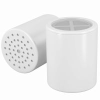 ZYNAFLO 15-Stage Shower Filter Replacement Cartridge (Pack of 2)