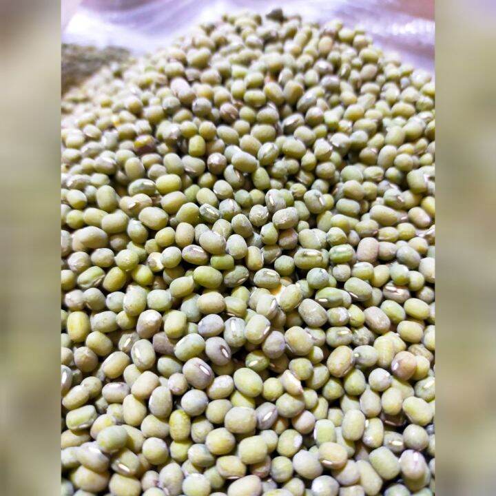 Monggo Beans Labo (¼,½&1kg) | Lazada PH