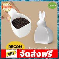 Qualy Design(ควอลี่ ดีไซน์) - ที่ตวงข้าว ถ้วยตักข้าวรุ่นกระต่ายน้อย ที่ตักข้าวสาร - Bella bunny rice scoop QL10325 อุปกรณ์เบเกอรี่ ทำขนม bakeware จัดส่งฟรี เก็บปลายทาง